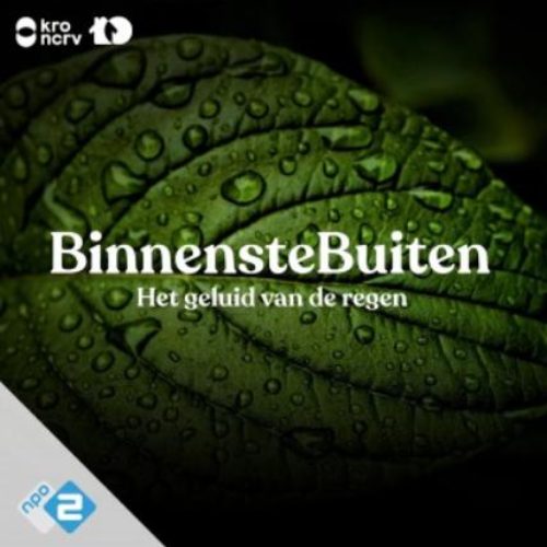 Regendruppels op een blad, met titel podcast
